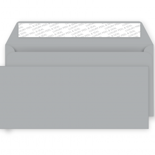 DL+ Metallic Silver Peel and Seal Envelopes 130gsm (114mm x229mm)